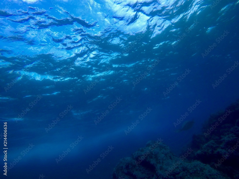 Under Water - Hachijo Island, Tokyo, Japan Under Water - Hachijo Island, Tokyo, Japan