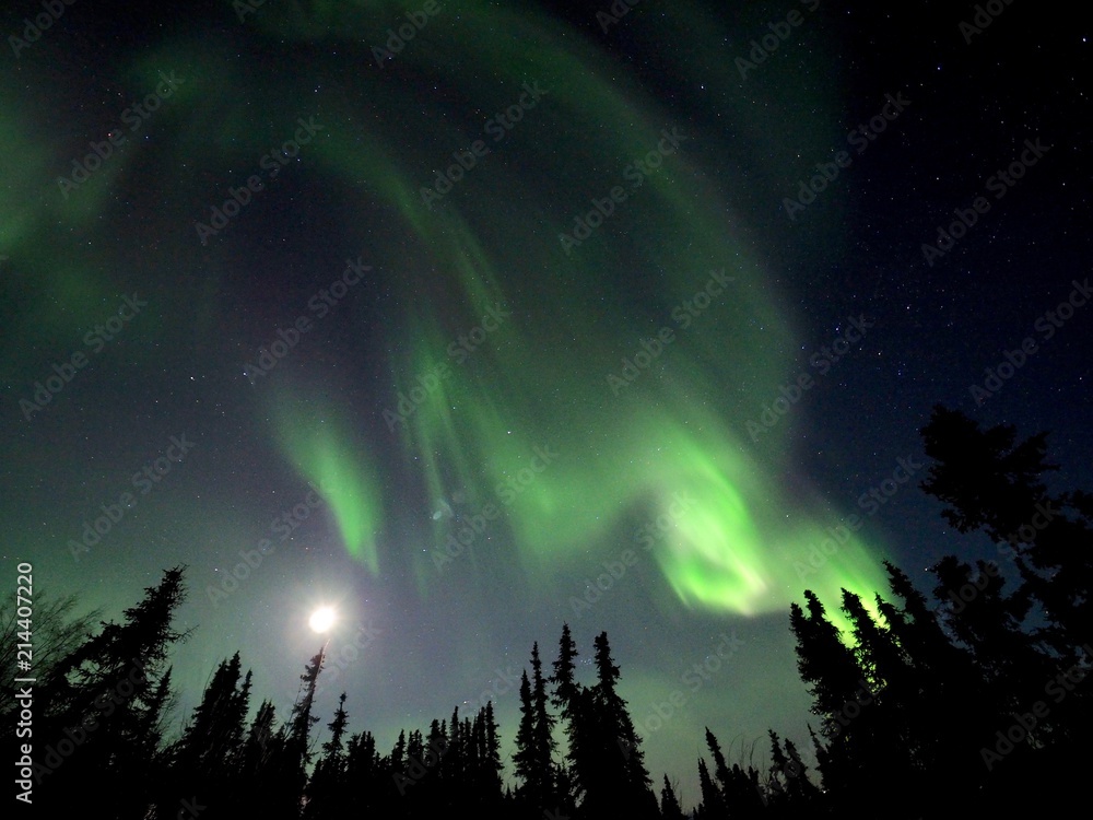 Northern Lights - Fairbanks, Alaska, US