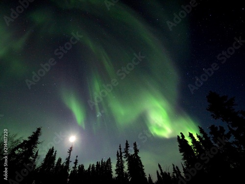 Northern Lights - Fairbanks  Alaska  US