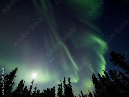 Northern Lights - Fairbanks, Alaska, US