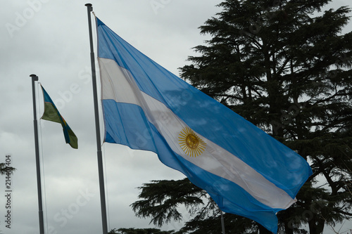 Bandera argentina al viento 