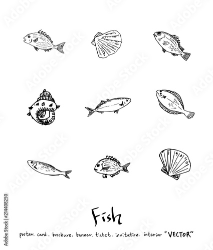 해산물 일러스트 / 손으로 그린 수산물 그림