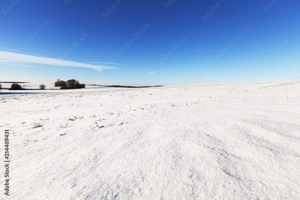 rural field covered with snow