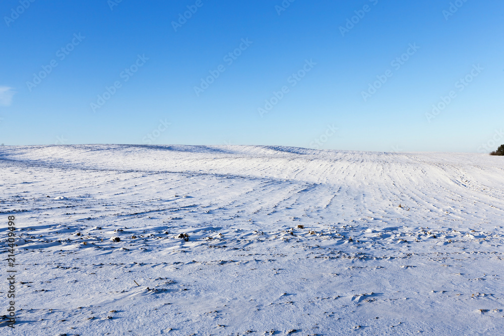 rural field covered with snow rural field covered with snow