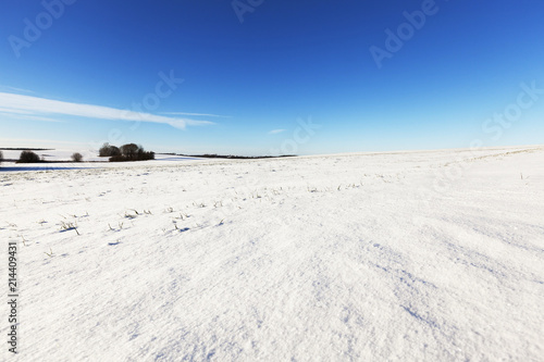 rural field covered with snow