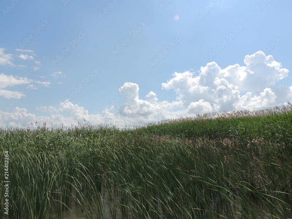 Obraz premium облака над озером