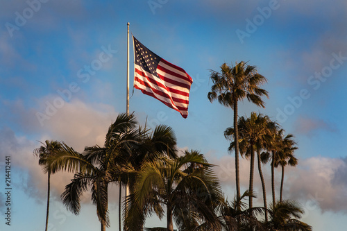 US Flag and Palm Trees