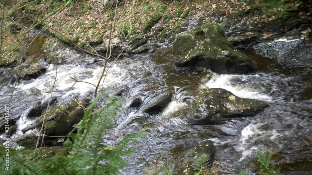 autumn vibes around a waterfall in a glen on a misty day autumn vibes around a waterfall in a glen on a misty day