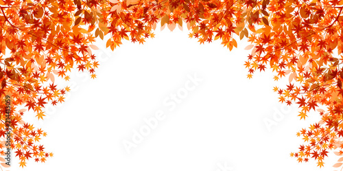  紅葉　葉　秋　背景