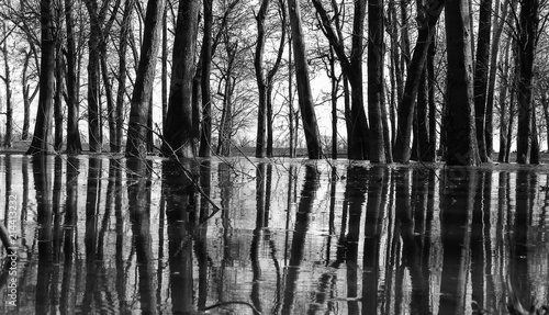 Fotografi flooded