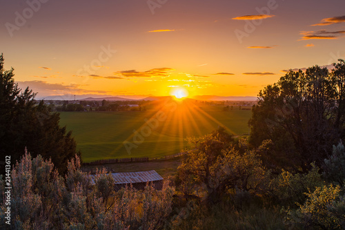 Starburst sunset over farmland