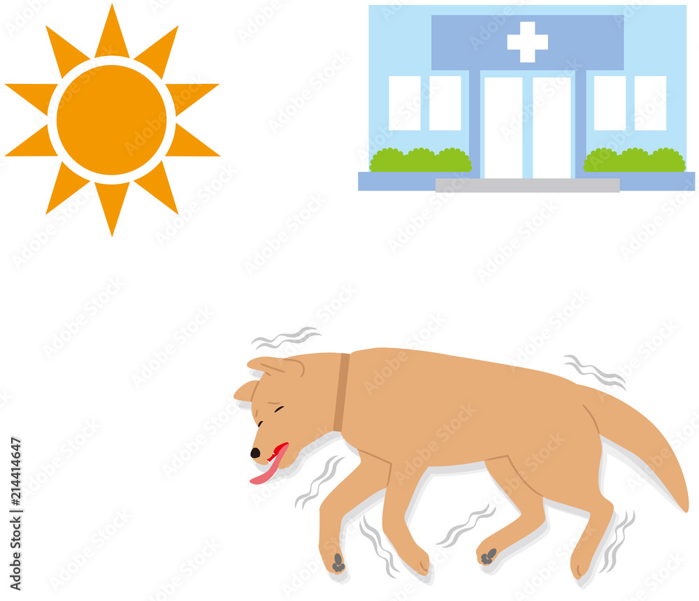 犬の熱中症の症状 失神痙攣 Stock Vector Adobe Stock