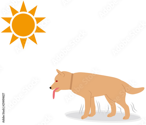 犬の熱中症の症状。ふらつき。