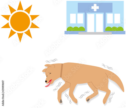 犬の熱中症の症状。失神痙攣。