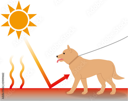 犬の熱中症が発生しやすい環境。　輻射熱。