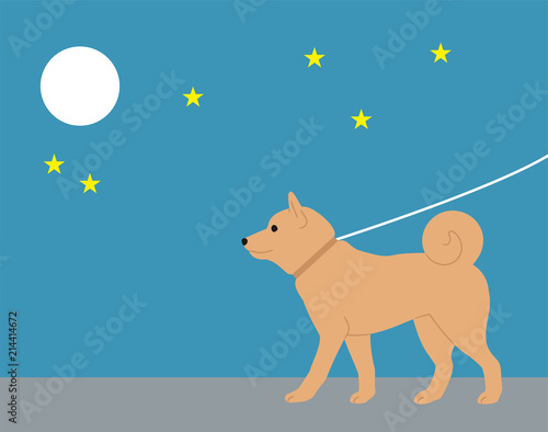 犬の熱中症予防。　夜の散歩。