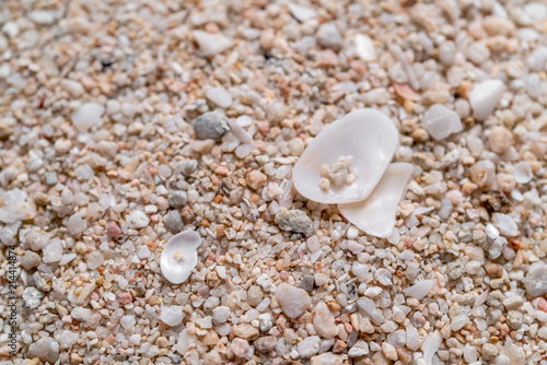 sand sea texture background © whyframeshot