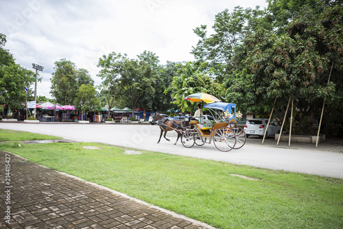 Horse carriage ride for tourist at the temple in Northern Thailand, local transportation, tourism concept, outdoor day light