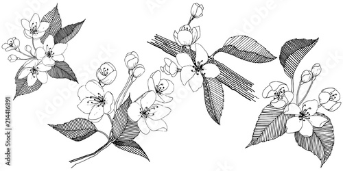 Apple tree in a vector style isolated. Full name of the plant: apple tree. Vector flower for background, texture, wrapper pattern, frame or border.