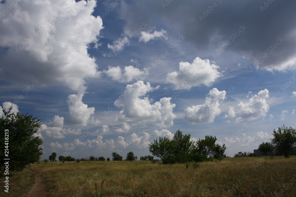 beautiful rural summer landscape panoramic view. beautiful rural summer landscape panoramic view.