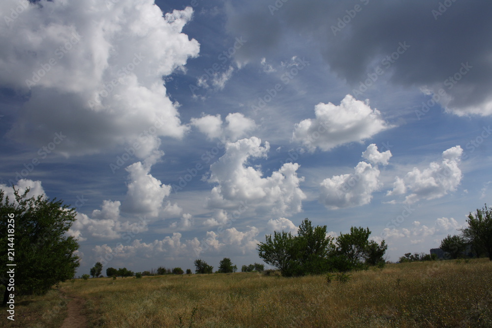 beautiful rural summer landscape panoramic view. beautiful rural summer landscape panoramic view.