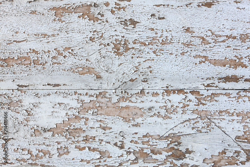 The white  texture painted wooden boards.