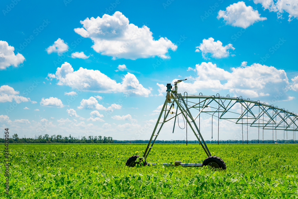 Irrigation of farmland to ensure the quality of the crop. Sunny day, sunlight Irrigation of farmland to ensure the quality of the crop. Sunny day, sunlight