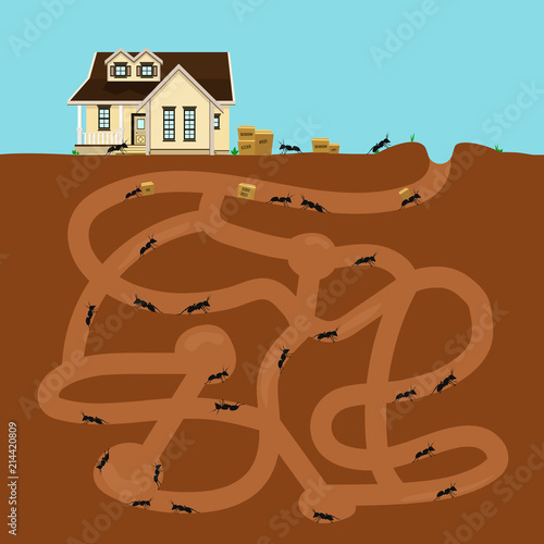 Ants in tunnels moving into a tiny house. Teamwork concept. Flat design vector illustration.