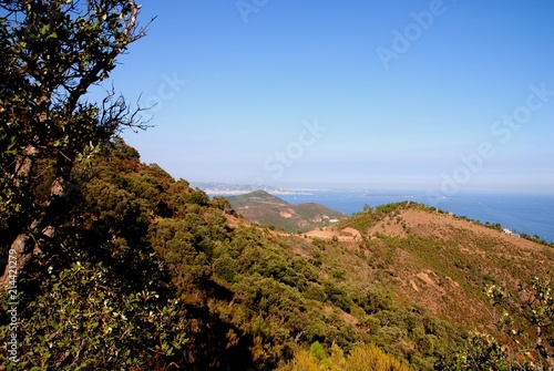 Vers le Pic de l’Ours (Var-France)