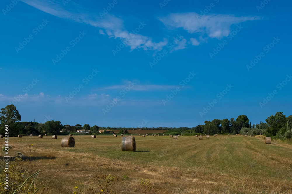 Landscape of an agriculture field with hay rolls with a bright sun in blue sky. Beautiful nature wallpaper background.