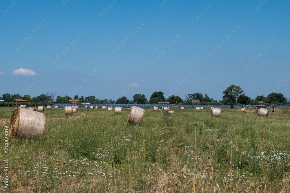 Landscape of an agriculture field with hay rolls with a bright sun in blue sky. Beautiful nature wallpaper background.