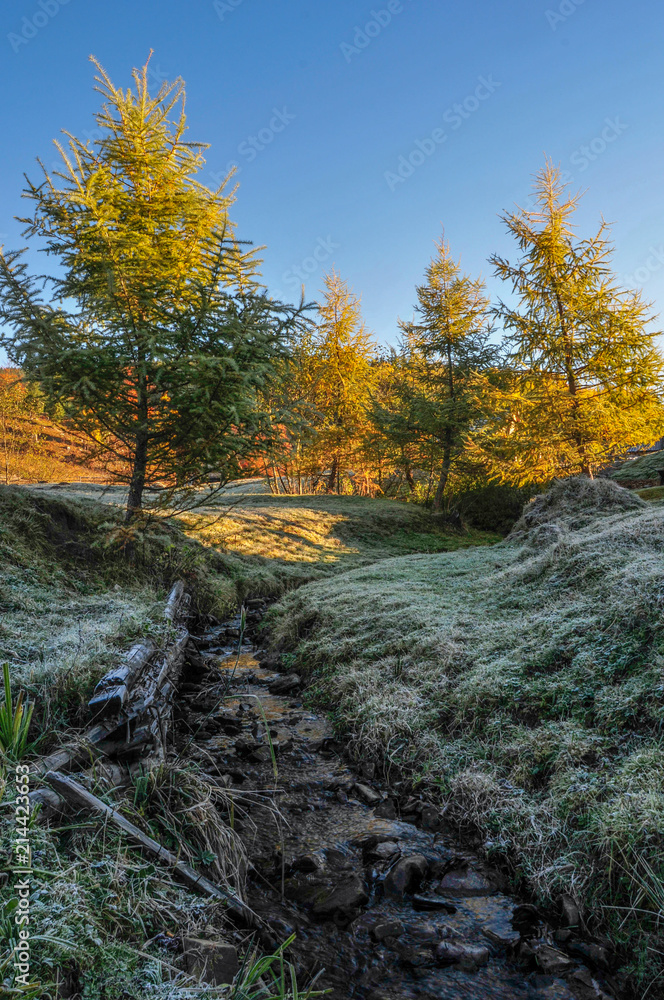 The river surrounded with frozen grass in the autumn in Carpathians, Ukraine The river surrounded with frozen grass in the autumn in Carpathians, Ukraine