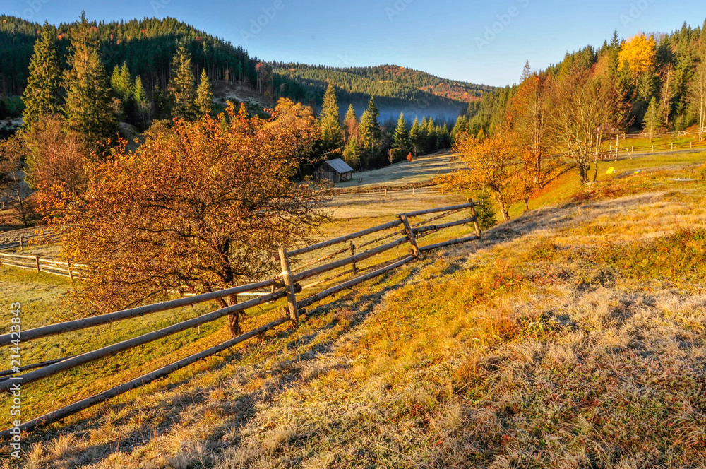 Sun rays on the Carpathian meadow in autumn, wooden fence near, Ukraine 1