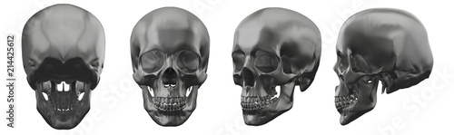 3d rendering illustration of skull photo