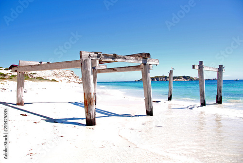 Tableau sur toile Timber posts in the sand on Hamelin Bay Beach, Western Australia
