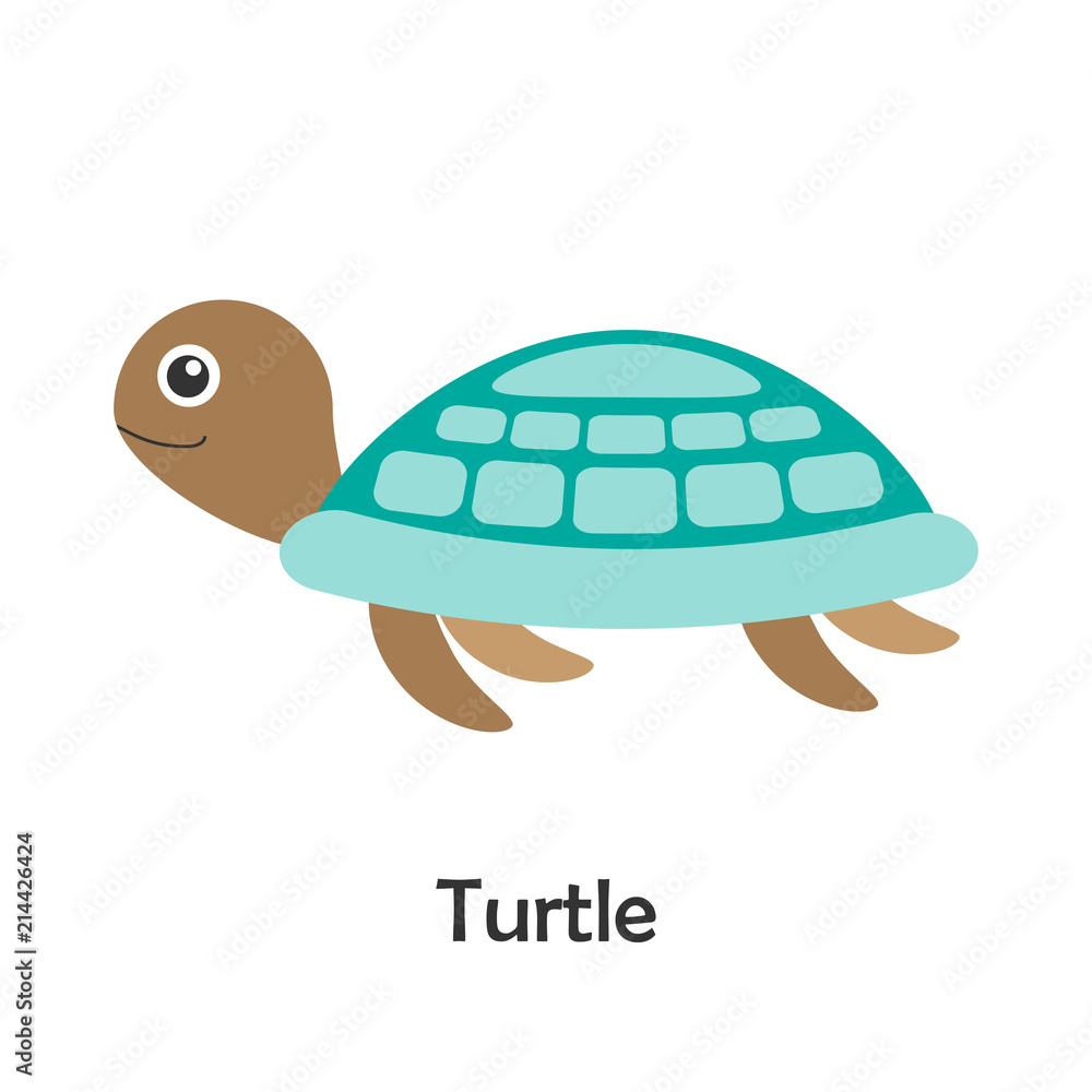Turtle in cartoon style, marine card with ocean animal for kid, preschool activity for children, vector illustration Turtle in cartoon style, marine card with ocean animal for kid, preschool activity for children, vector illustration