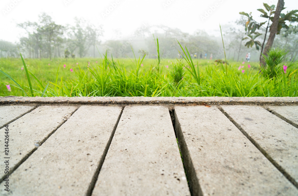 empty concrete desk and green meadow in the morning background . Blank space for text and images. empty concrete desk and green meadow in the morning background . Blank space for text and images.