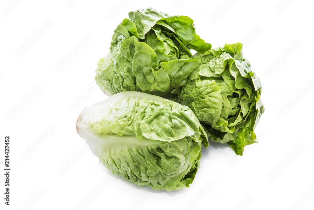 Fototapeta premium green lettuce isolated on white background