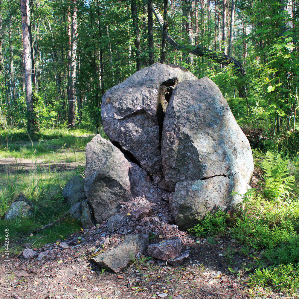 A large chopped granite lies in the forest. Russia, the Leningrad Region. A large chopped granite lies in the forest. Russia, the Leningrad Region.