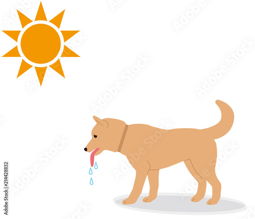 犬の熱中症の症状。　涎を垂らす。