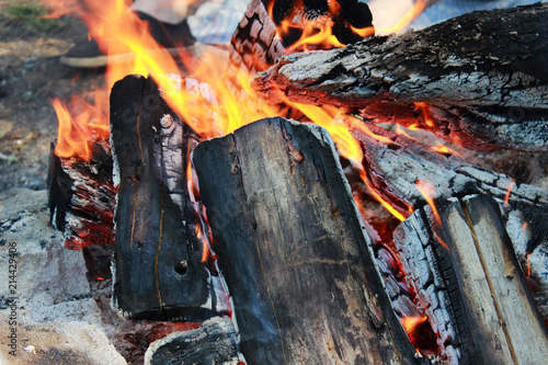 a campfire with an open fire and wood in the forest photo