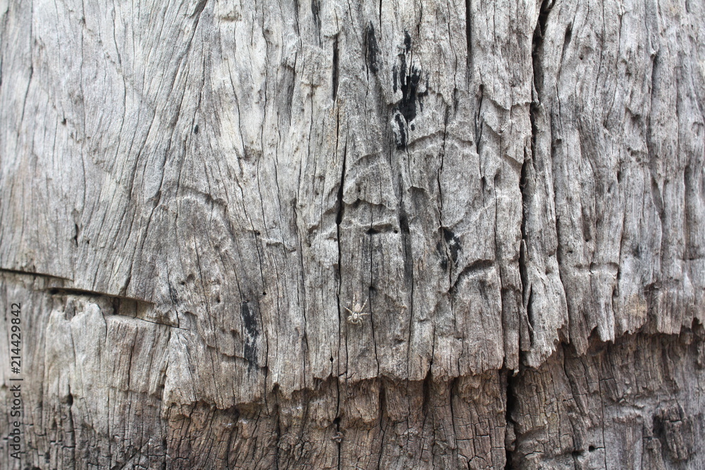 100 year old wood background 100 year old wood background