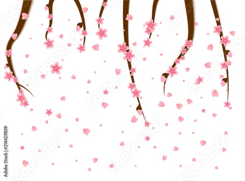 Sprigs of cherry tree flowers sakura fall spatter the spring annual season of japan isolated on white background. Asian decoration for Mid-Autumn Festival, Chuseok, other holidays. Vector Illustration