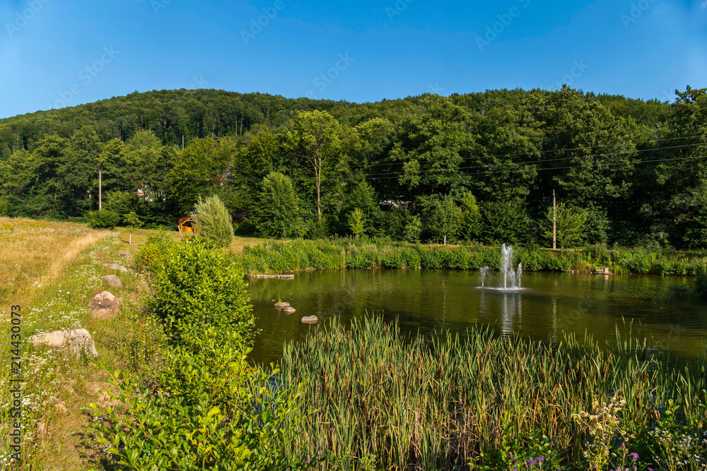 A beautiful pond landscape with a small fountain beating in it on a summer sunny day amidst a green forest and a blue sky above it. A beautiful pond landscape with a small fountain beating in it on a summer sunny day amidst a green forest and a blue sky above it.