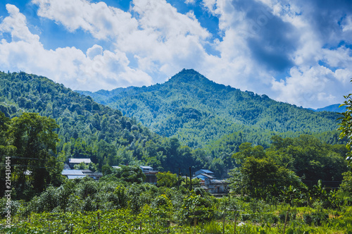 Mountains and forest scenery in summer