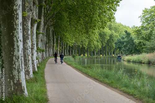 Cyclist along Canal du Midi, near les neuf cluses, Herault Department, France
