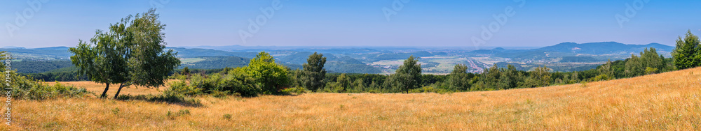 Panoramic photo of the field, with a sculpture of green trees. which is on the edge of the cliff. A large valley can be seen in the distance