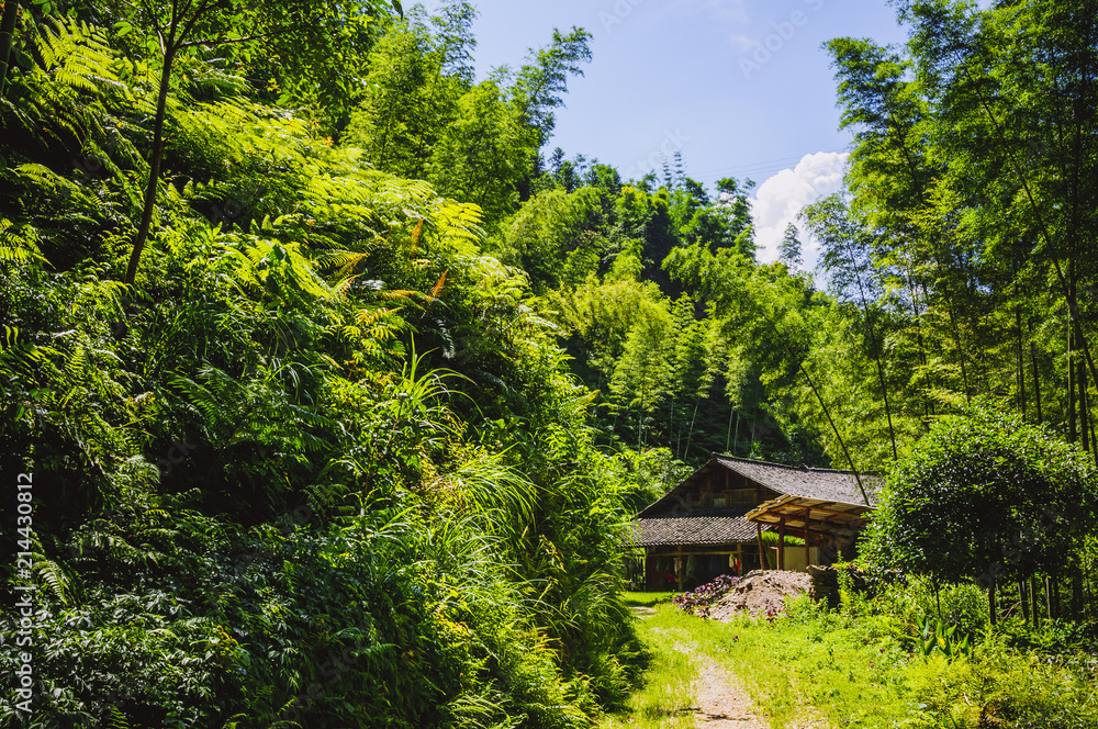 Countryside scenery in summer, Guilin, China. Countryside scenery in summer, Guilin, China.