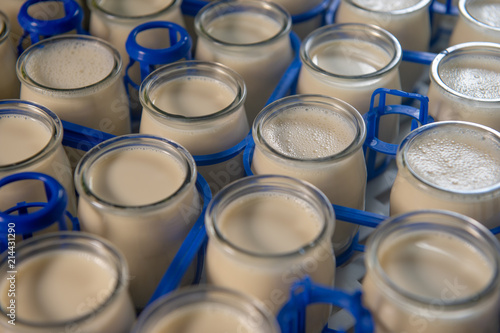Production of yogurt in a farm, homemade cow's milk yoghurt
