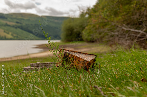 Plastic pollution a discarded sandwich carton in beautiful scenery that isn’t degrading 